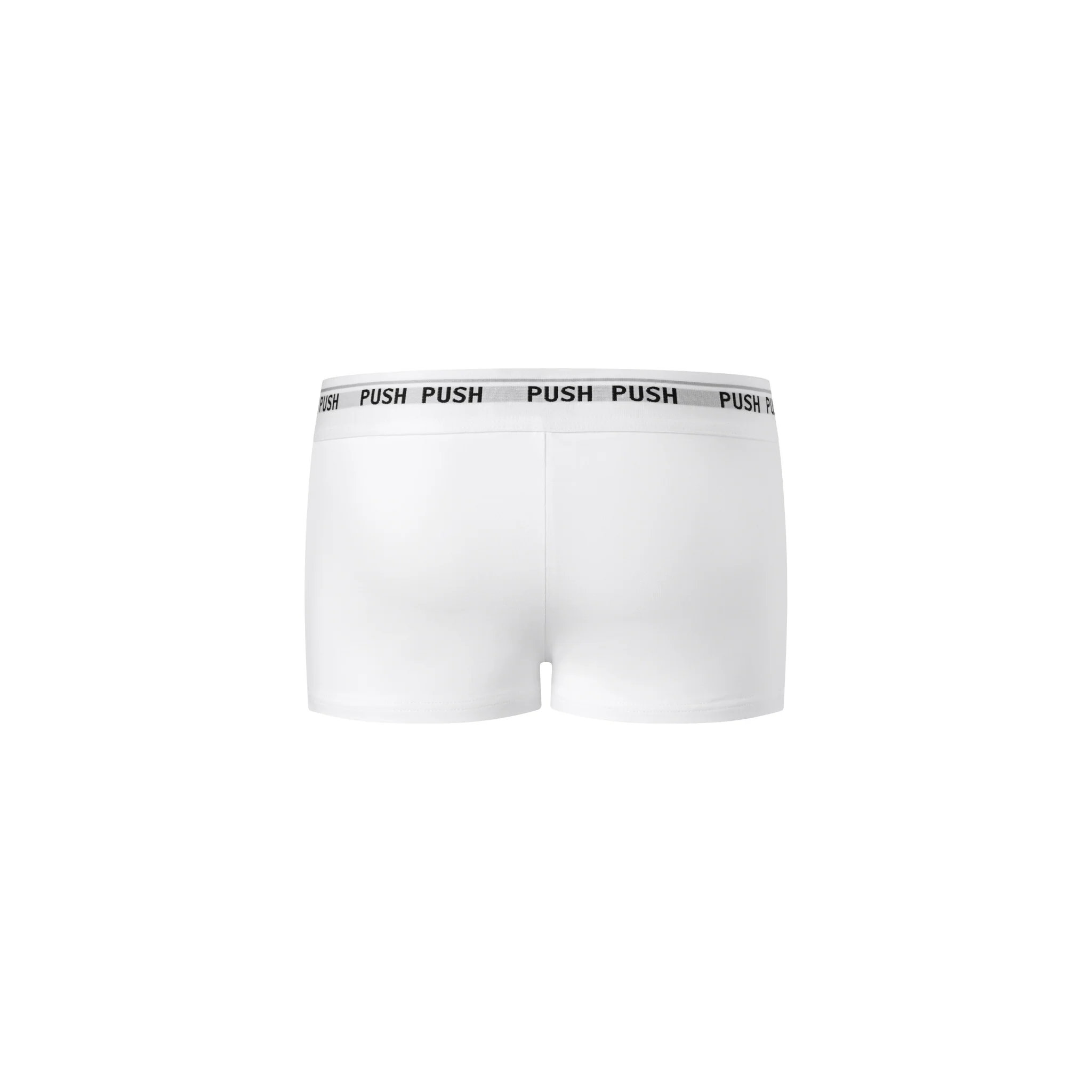 PP AMP BOXER - Image 4